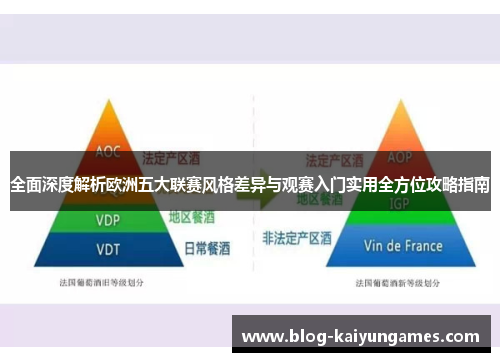 全面深度解析欧洲五大联赛风格差异与观赛入门实用全方位攻略指南 全面深度解析欧洲五大联赛风格差异与观赛入门实用全方位攻略指南